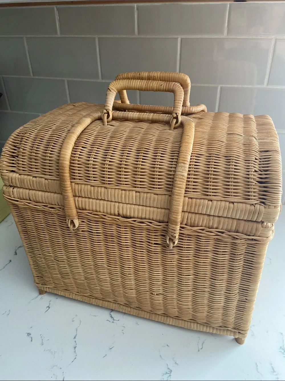 Vintage Wicker Storage Basket w Handle Boho Rattan Sewing Craft Chest